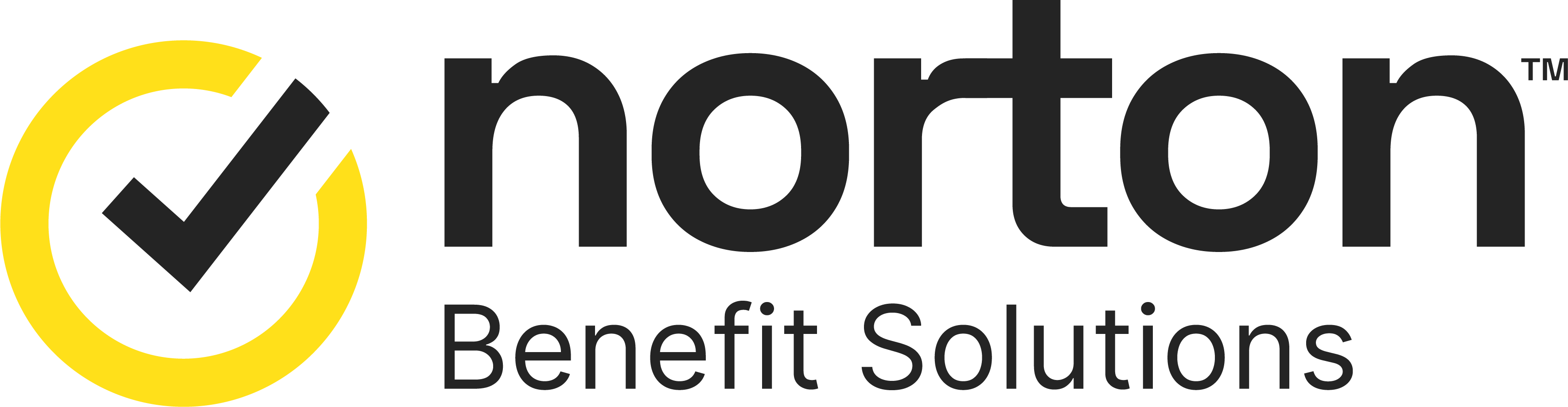 Norton Benefit Solutions-Light-RGB-WEB (2) (1).png
